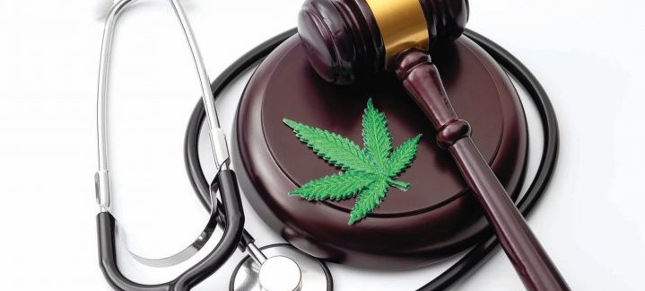 Direito à Cannabis